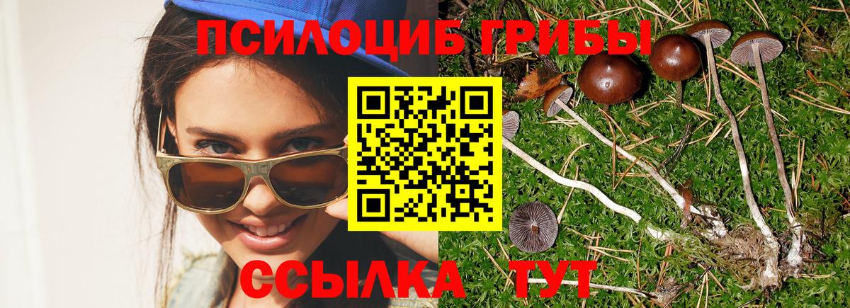 Псилоцибиновые грибы GOLDEN TEACHER Анапа