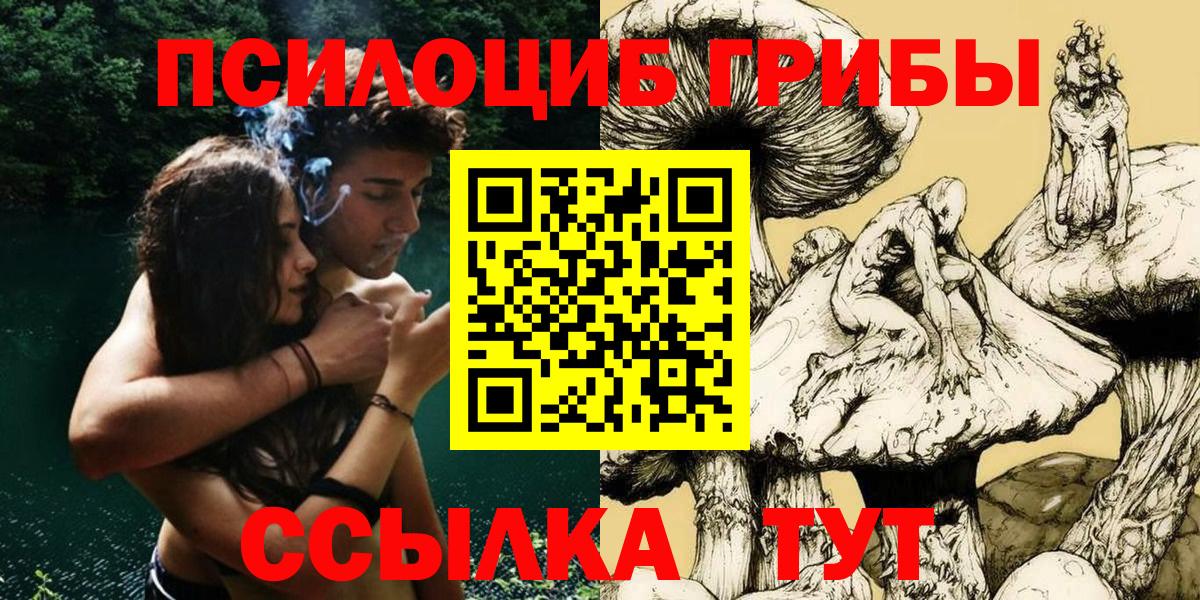 купить закладку  Псилоцибиновые грибы прущие грибы  Вход с VPN  Анапа  Псилоцибиновые грибы GOLDEN TEACHER 